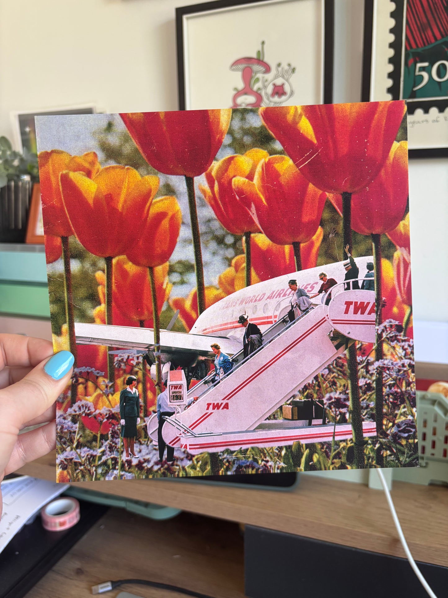 Travelling Tulips