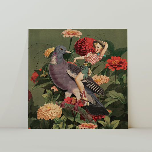 American Coo-girl