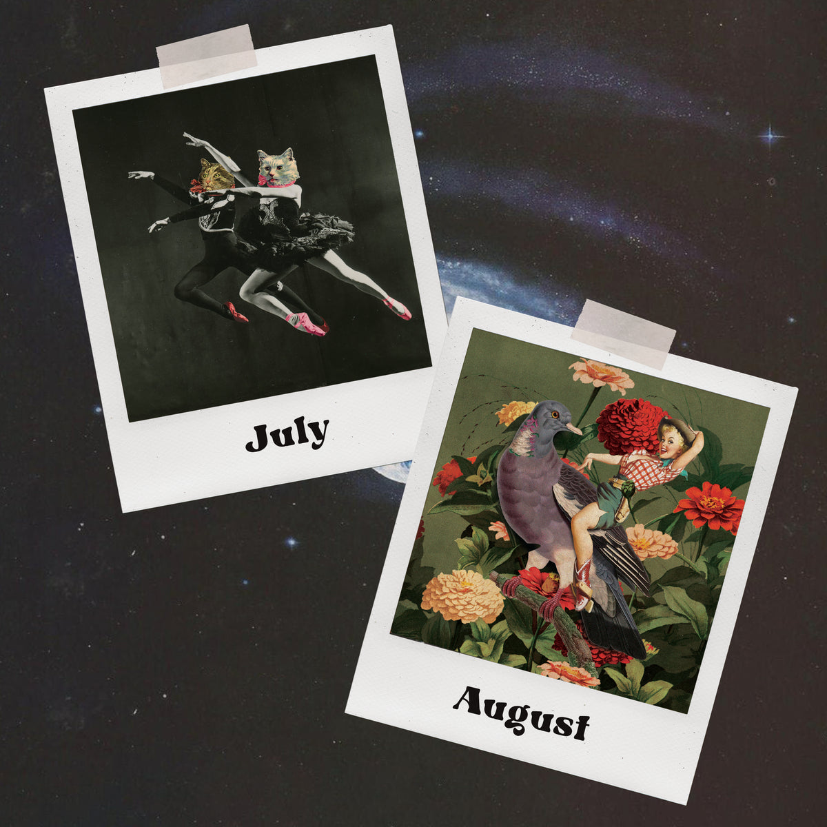 2027 Calendar PRE ORDER!