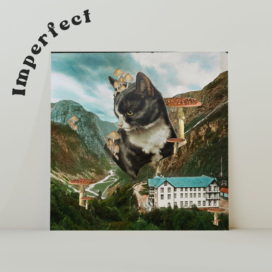 Are You Kitten Me?