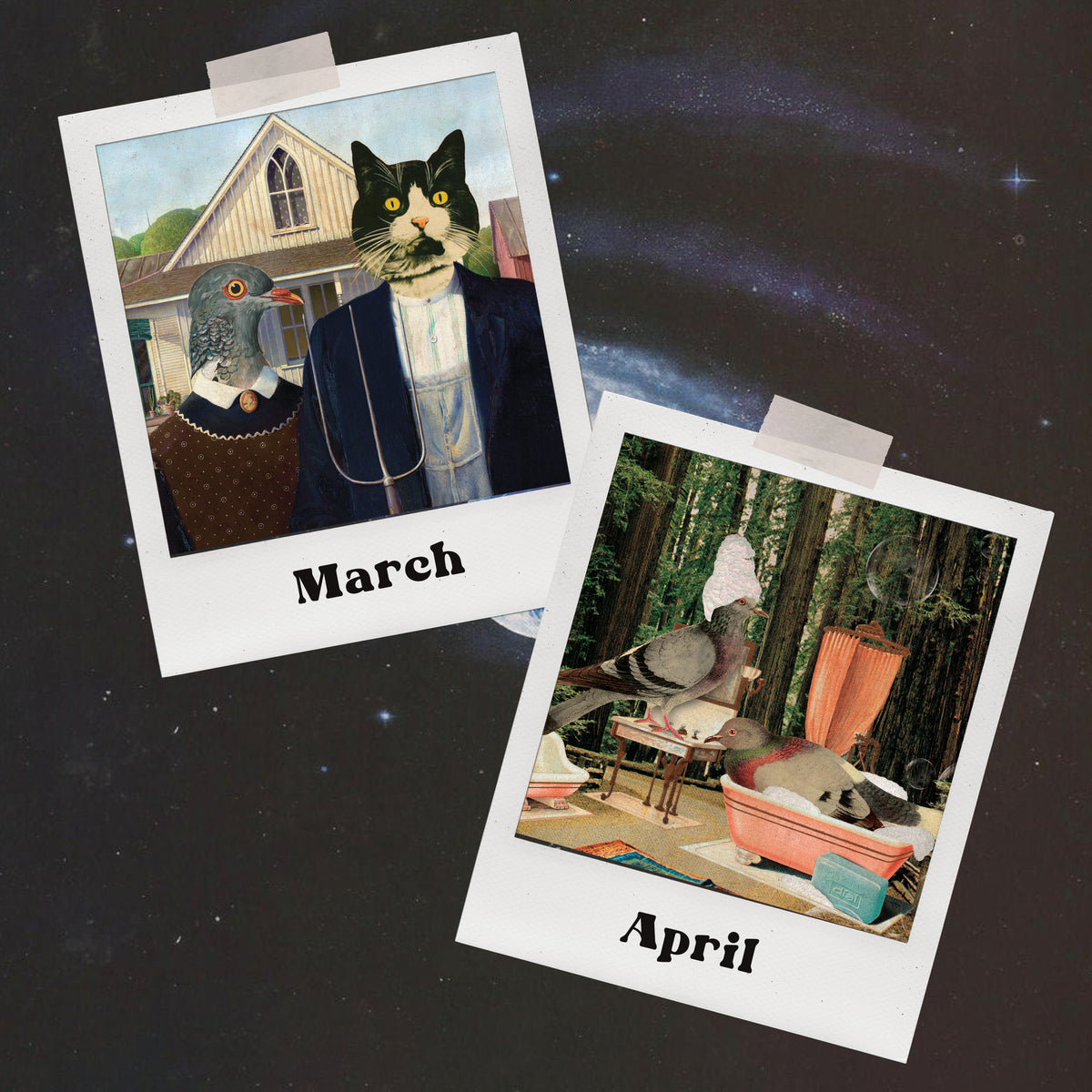 2027 Calendar PRE ORDER!
