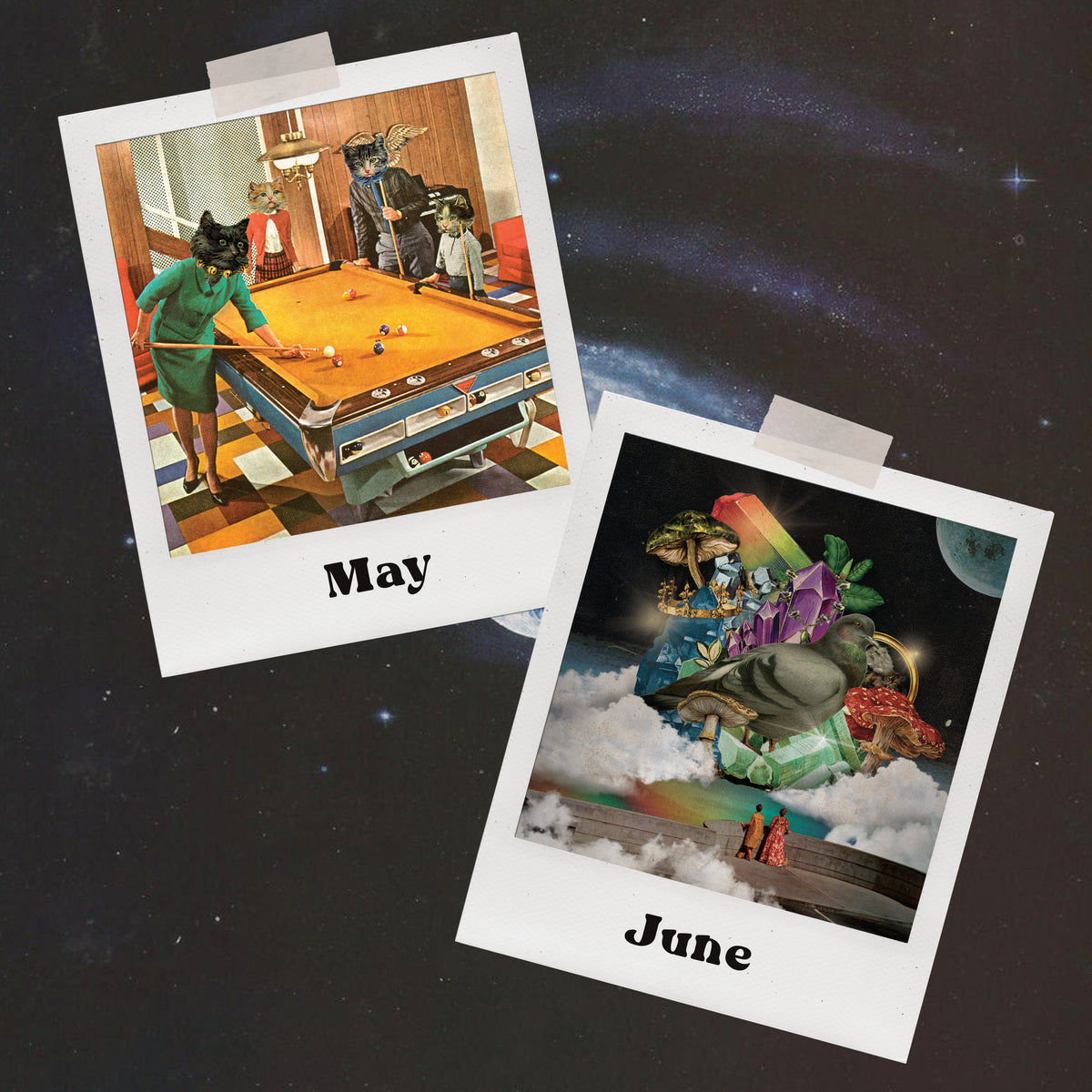 2027 Calendar PRE ORDER!