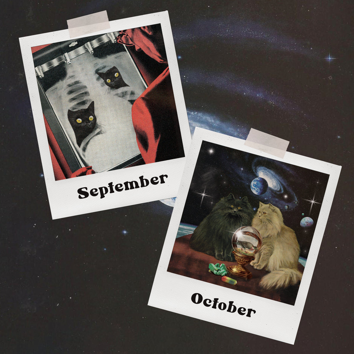 2027 Calendar PRE ORDER!