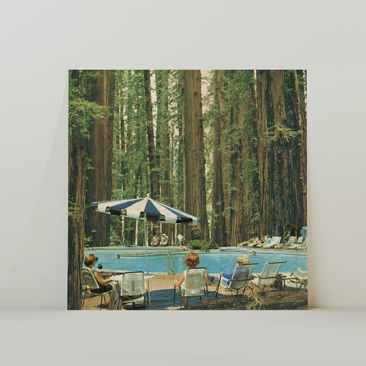 Trees
