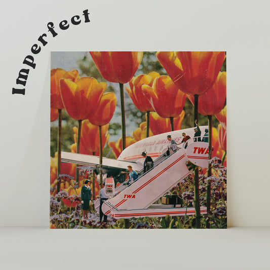 Travelling Tulips