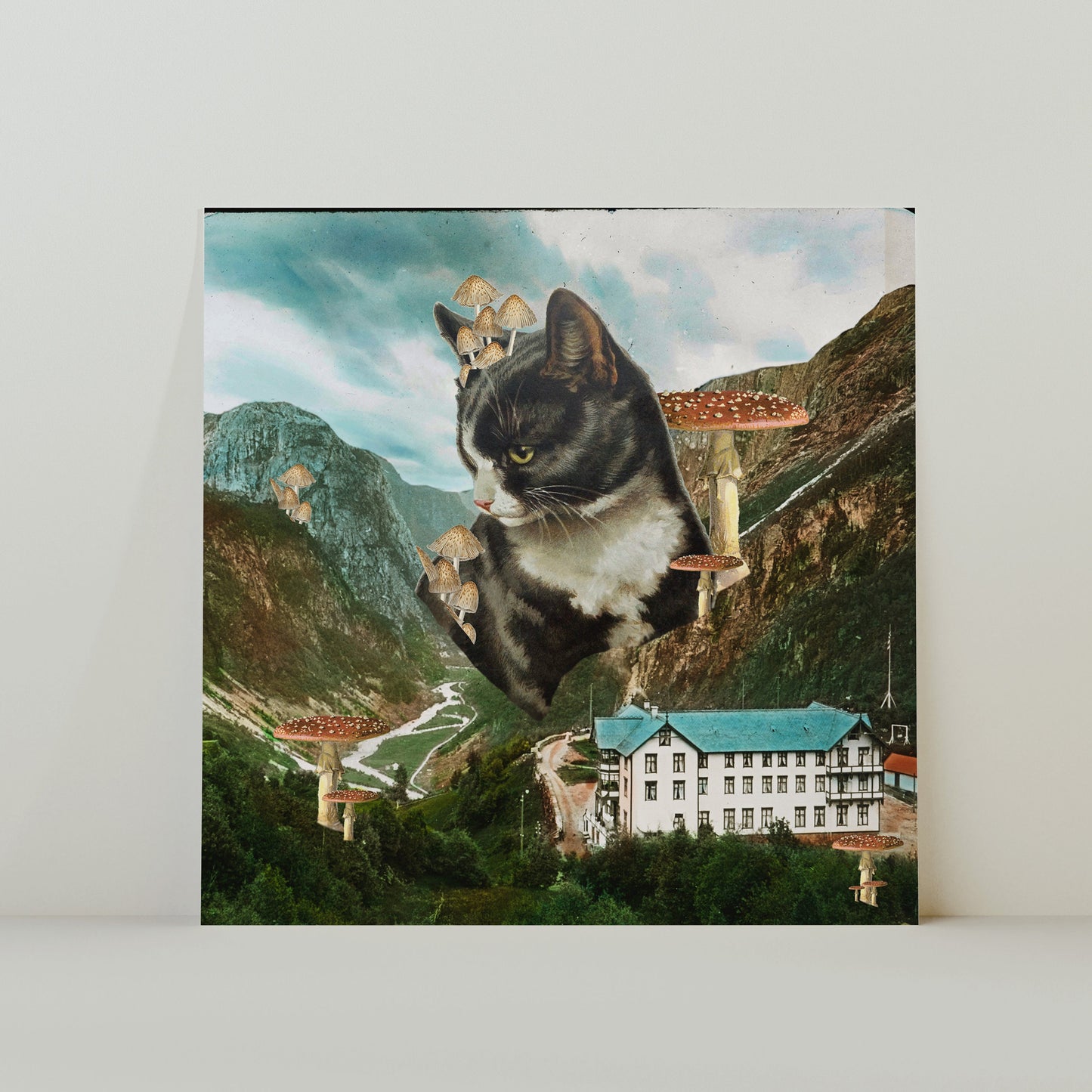 ¿Me gatitos? - Impresión cuadrada de 20x20 cm con collage de gatos espaciales surrealistas de inspiración retro